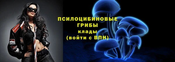 МДПВ Дмитриев