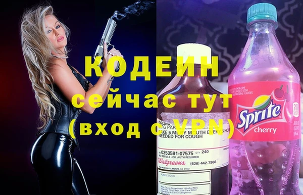 МДПВ Дмитриев