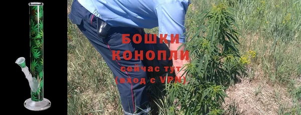 МДПВ Дмитриев
