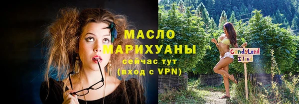 МДПВ Дмитриев