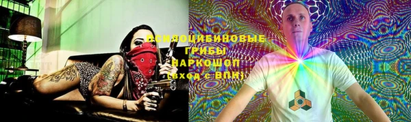 МДПВ Дмитриев