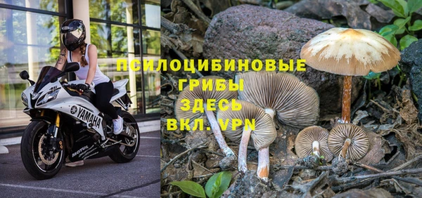 МДПВ Дмитриев