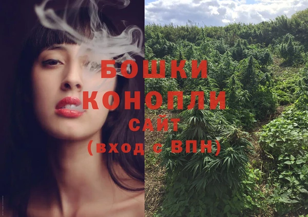 крисы Тихвин
