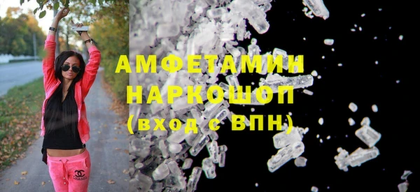 МДПВ Дмитриев