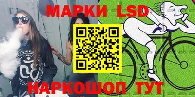 крисы Кингисепп