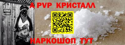 крисы Кингисепп
