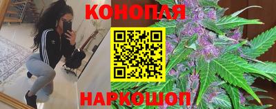 крисы Кингисепп