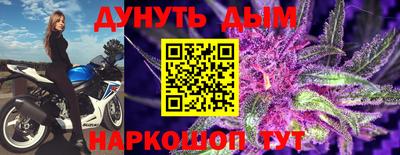 крисы Кингисепп