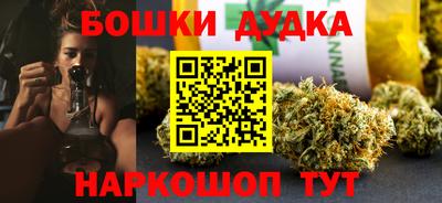 крисы Кингисепп
