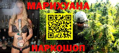 крисы Кингисепп