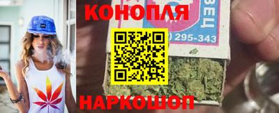 крисы Кингисепп
