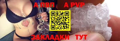 крисы Кингисепп
