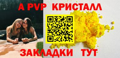 крисы Кингисепп