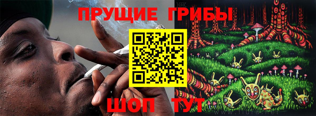 Псилоцибиновые грибы мицелий  Вход с VPN  Нижневартовск  Псилоцибиновые грибы прущие грибы 